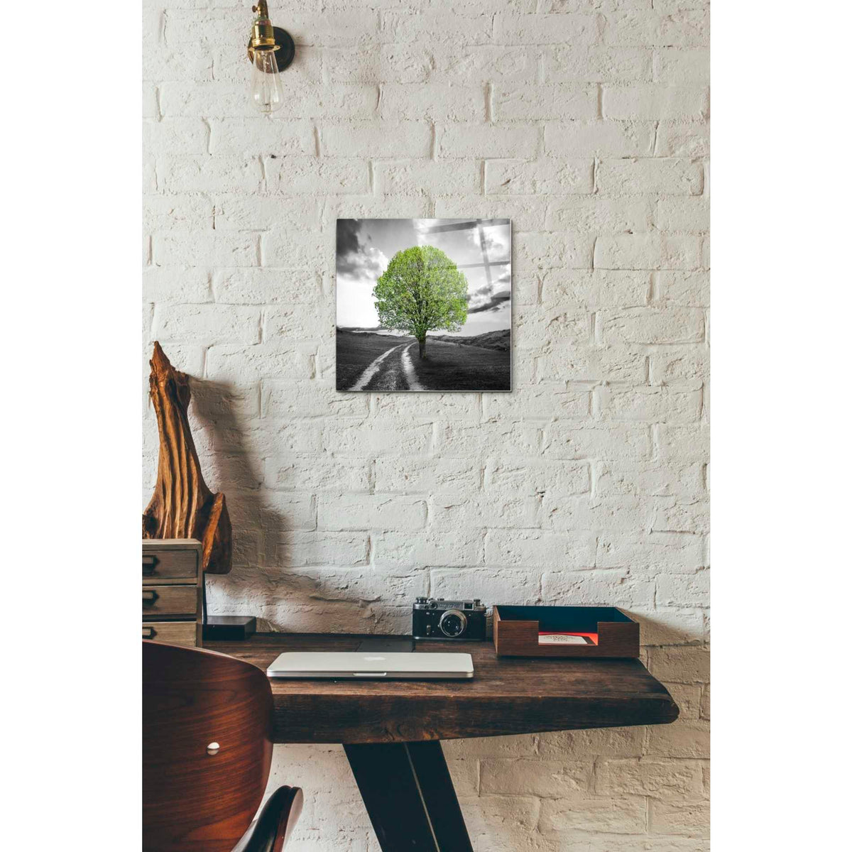 Epic Art 'Vibrant Tree Series: Green' Acrylic Glass Wall Art,12x12