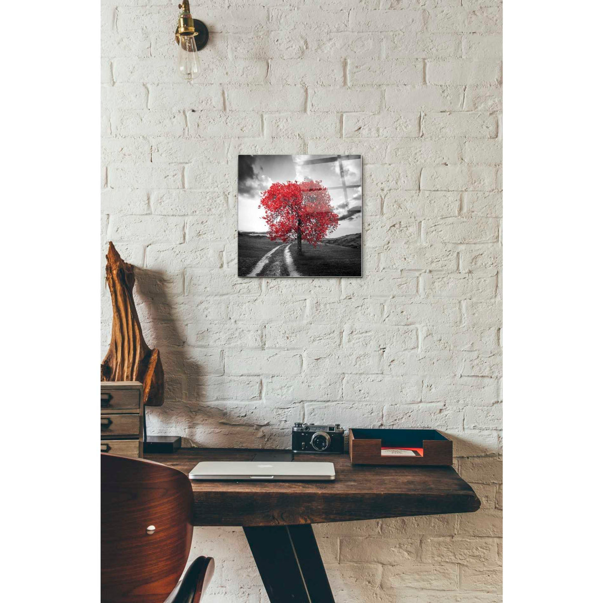Epic Art 'Vibrant Tree Series: Ruby' Acrylic Glass Wall Art,12x12