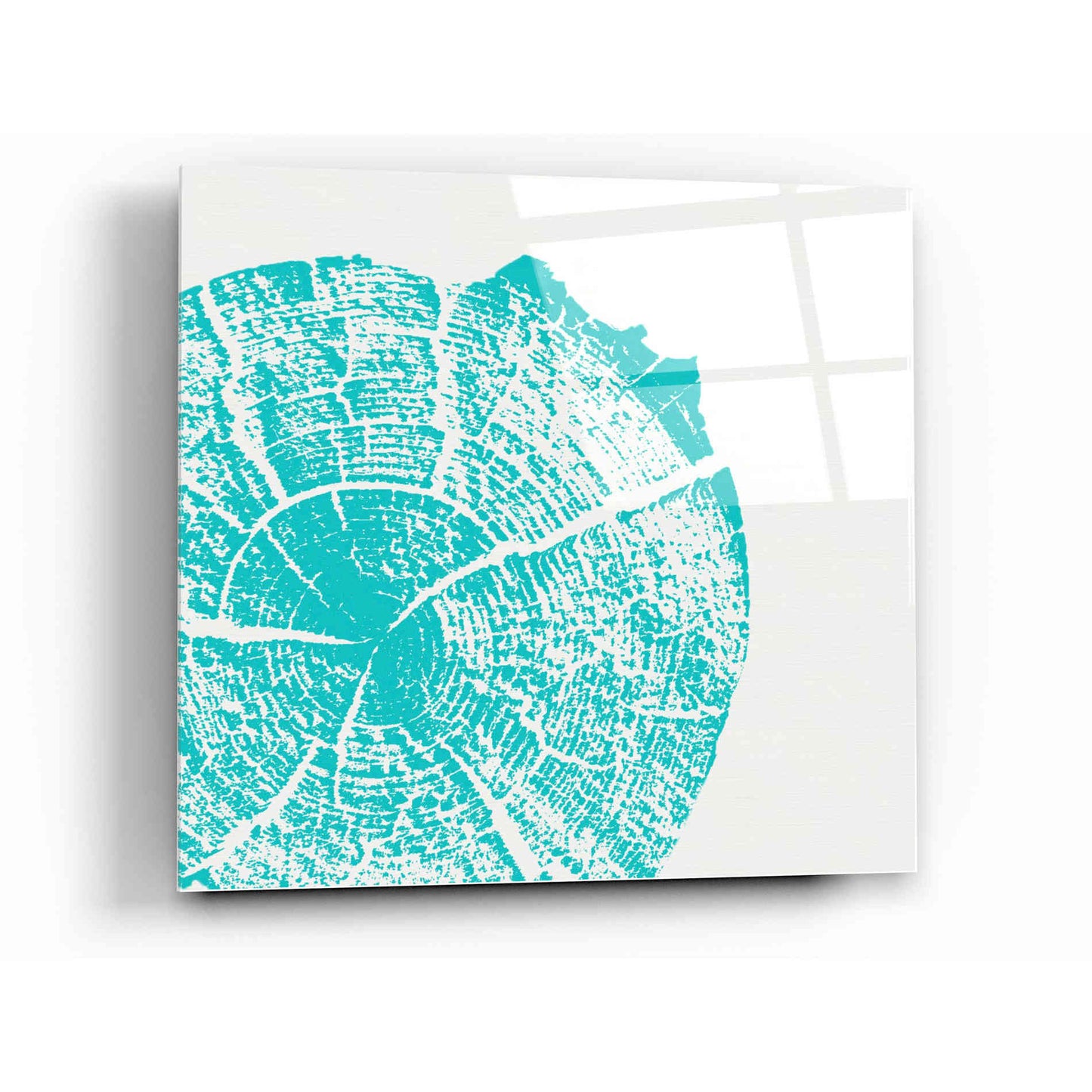 Epic Art 'Aqua Slice' by Linda Woods, Acrylic Glass Wall Art,12x12