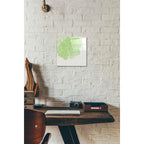 Epic Art 'Lime Slice' by Linda Woods, Acrylic Glass Wall Art,12x12