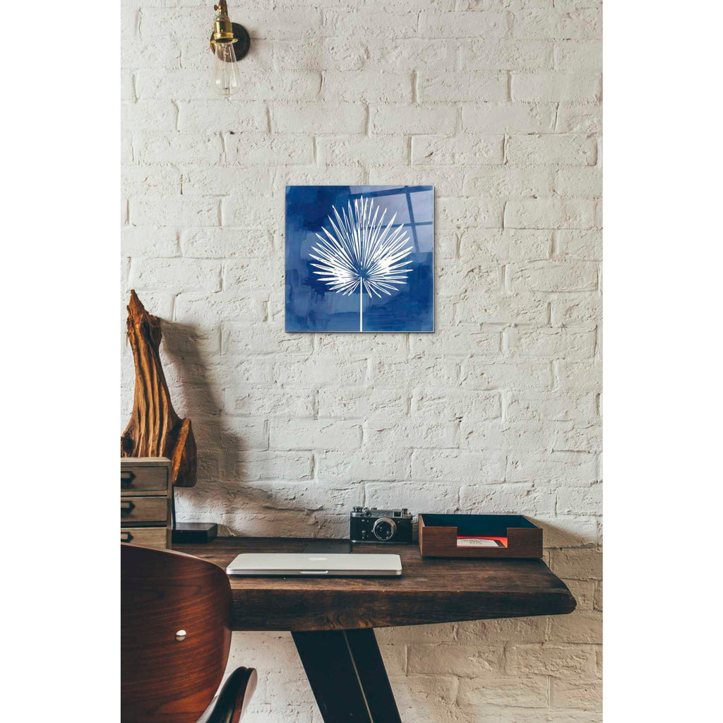 Epic Art 'Painted Sky Palm Leaf' by Linda Woods, Acrylic Glass Wall Art,12x12