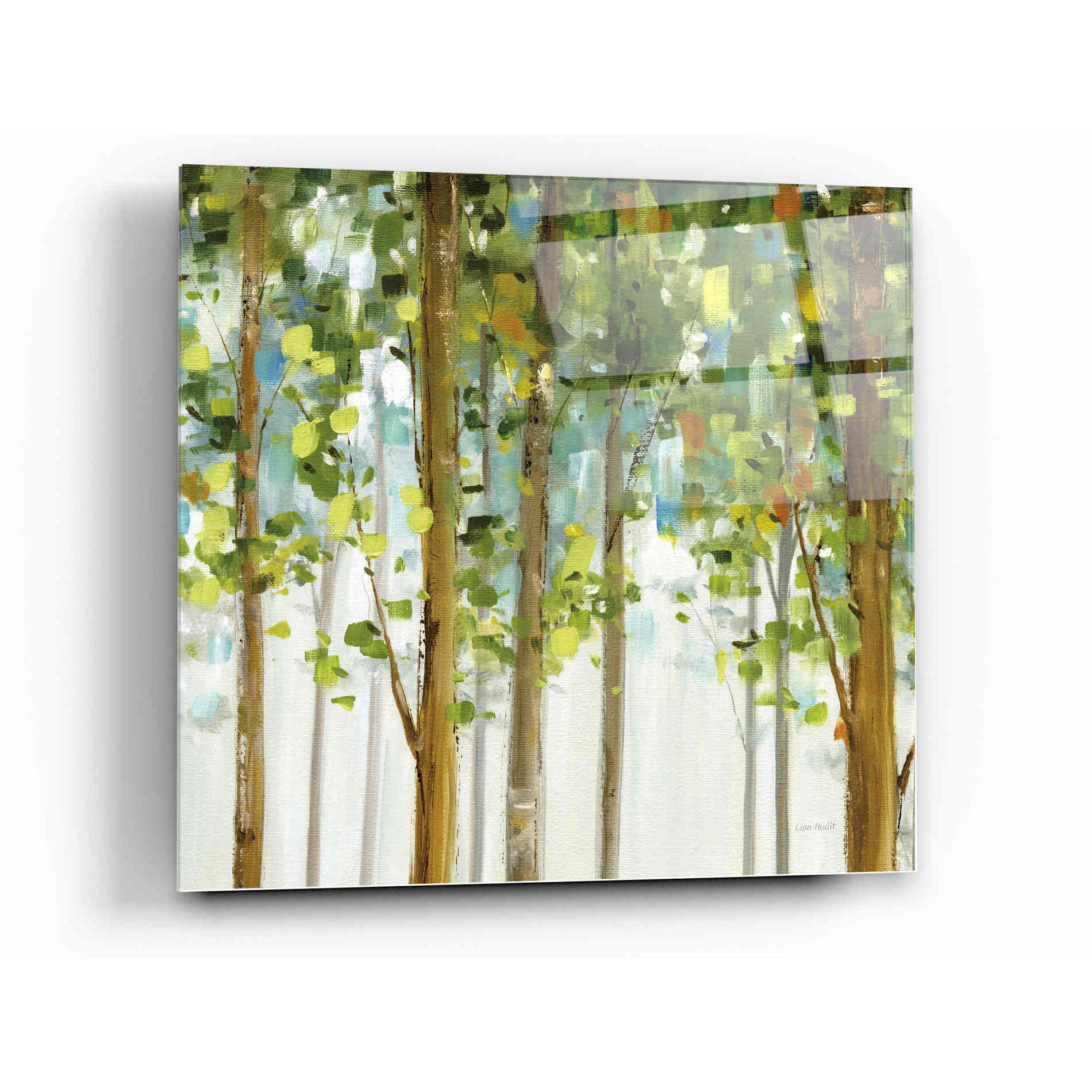 Epic Art 'Forest Study II' by Lisa Audit, Acrylic Glass Wall Art,12x12