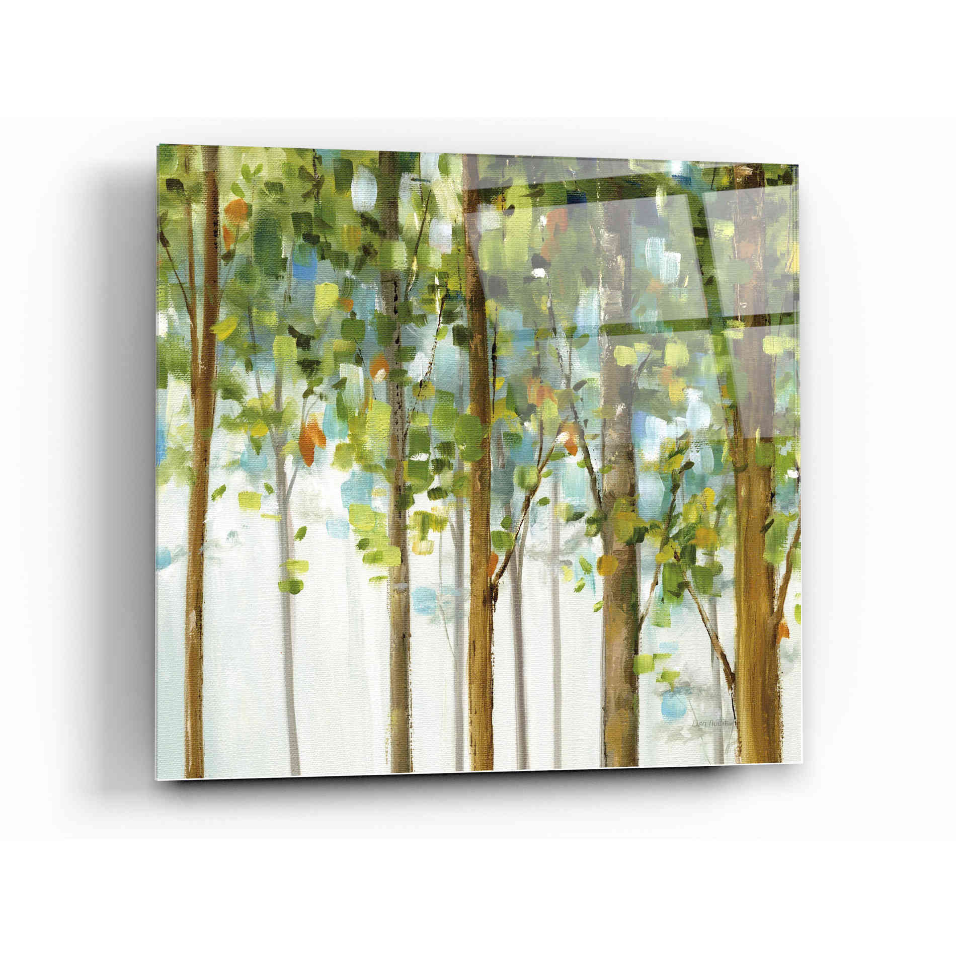 Epic Art 'Forest Study III' by Lisa Audit, Acrylic Glass Wall Art,12x12