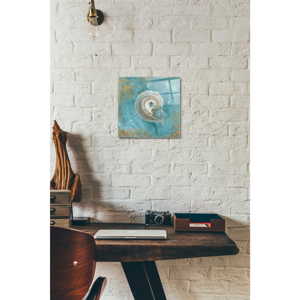 Epic Art 'Treasures From The Sea III' by Danhui Nai, Acrylic Glass Wall Art,12x12