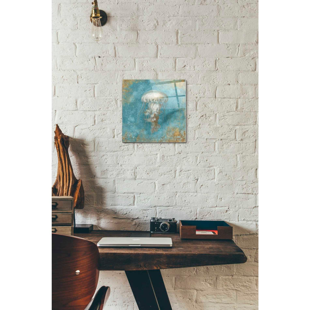Epic Art 'Treasures From The Sea VI' by Danhui Nai, Acrylic Glass Wall Art,12x12