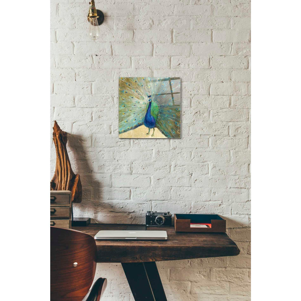 Epic Art 'Blue Peacock' by Danhui Nai, Acrylic Glass Wall Art,12x12
