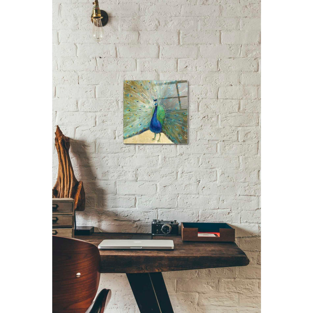Epic Art 'Blue Peacock' by Danhui Nai, Acrylic Glass Wall Art,12x12