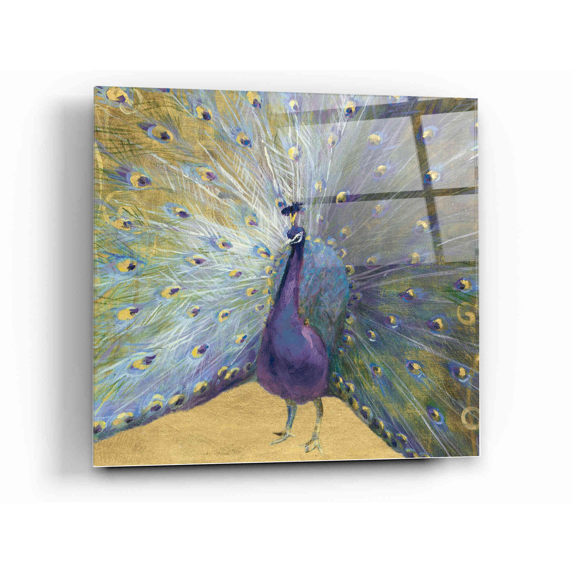Epic Art 'Purple And Gold Peacock' by Danhui Nai, Acrylic Glass Wall Art,12x12