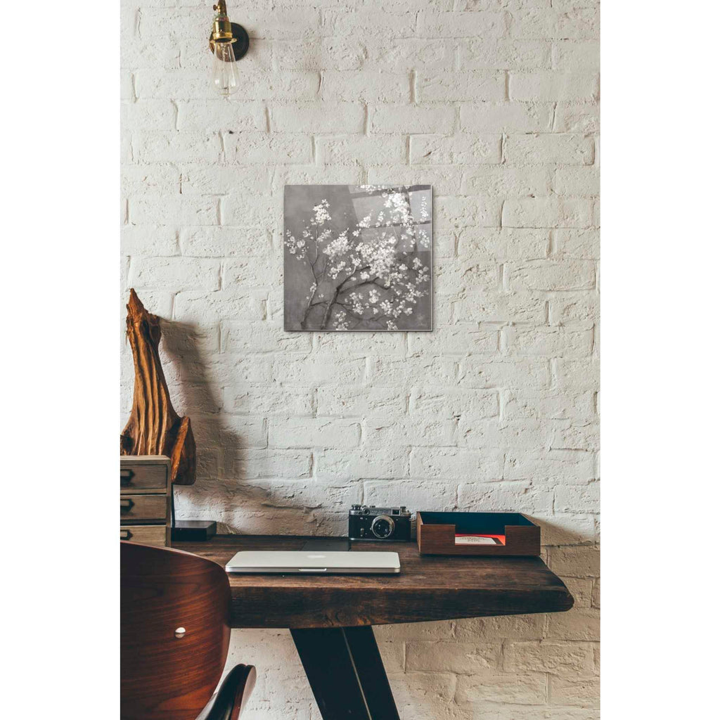 Epic Art 'White Cherry Blossom I on Grey' by Danhui Nai, Acrylic Glass Wall Art,12x12