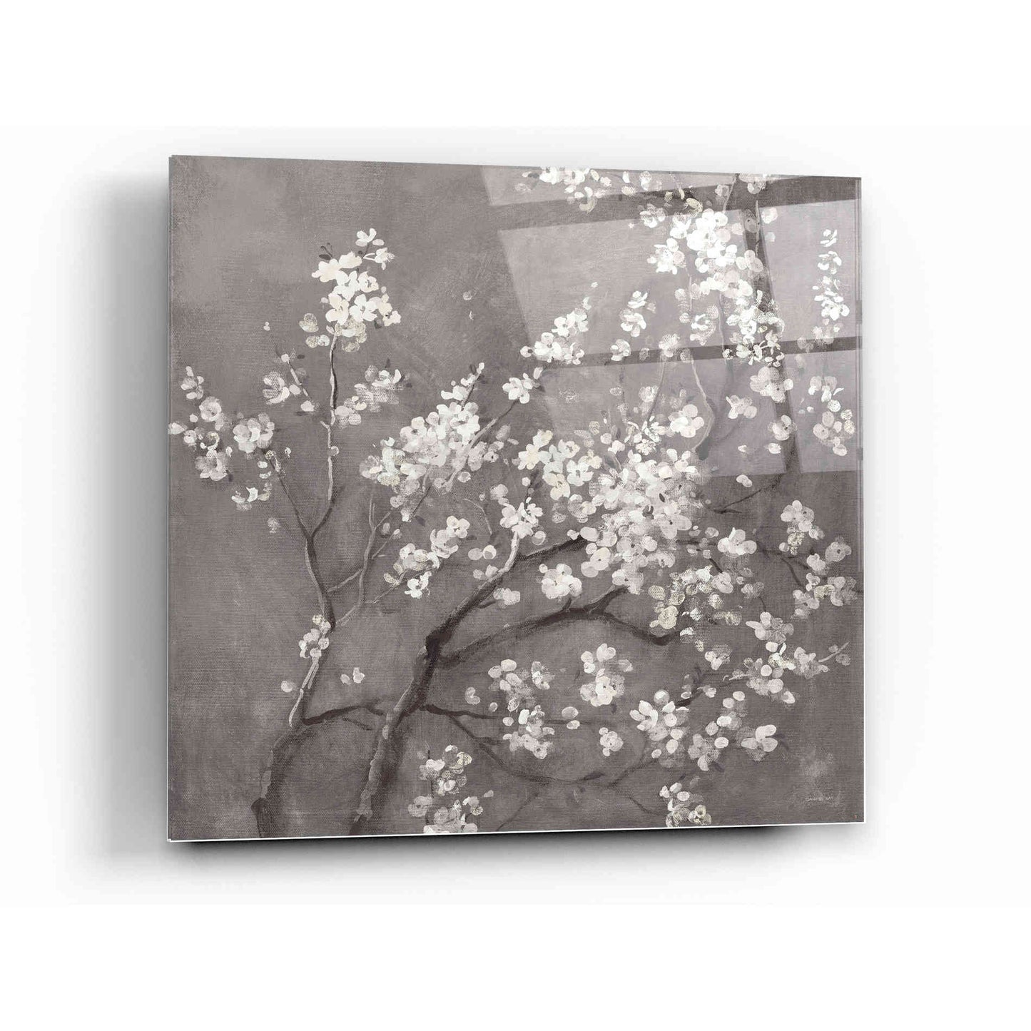 Epic Art 'White Cherry Blossom I on Grey' by Danhui Nai, Acrylic Glass Wall Art,12x12