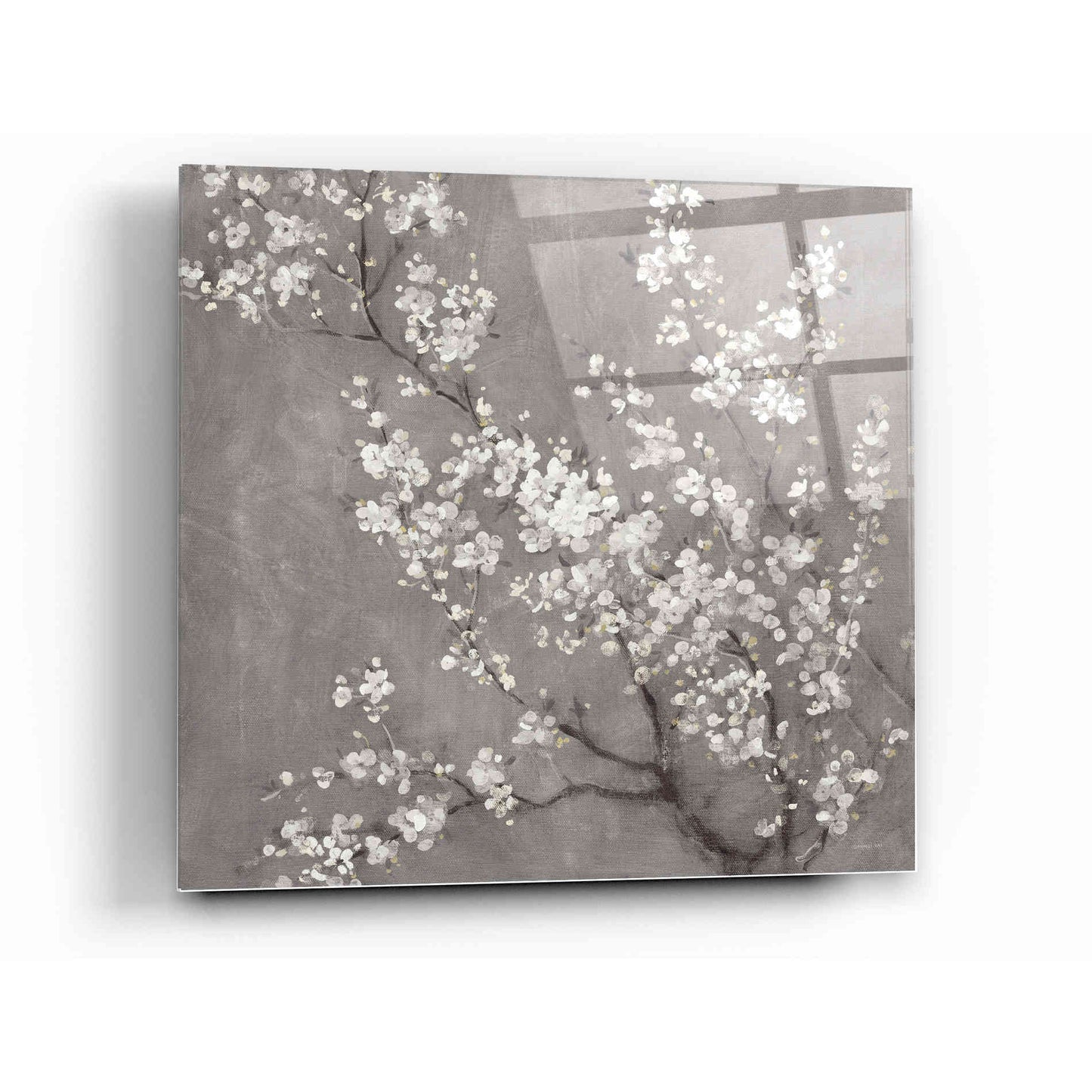 Epic Art 'White Cherry Blossom II on Grey' by Danhui Nai, Acrylic Glass Wall Art,12x12