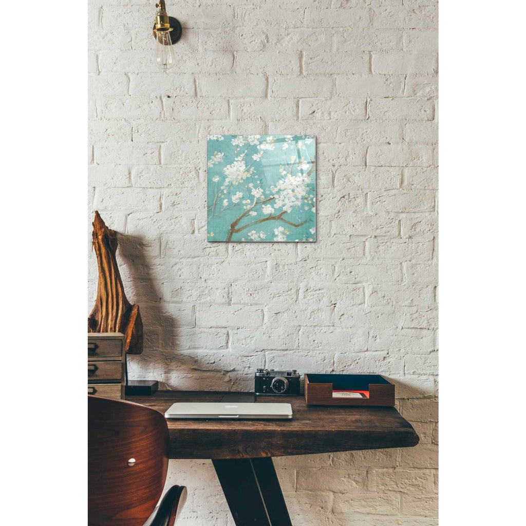Epic Art 'White Cherry Blossom I on Blue' by Danhui Nai, Acrylic Glass Wall Art,12x12