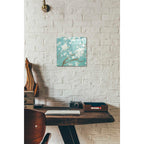 Epic Art 'White Cherry Blossom I on Blue' by Danhui Nai, Acrylic Glass Wall Art,12x12