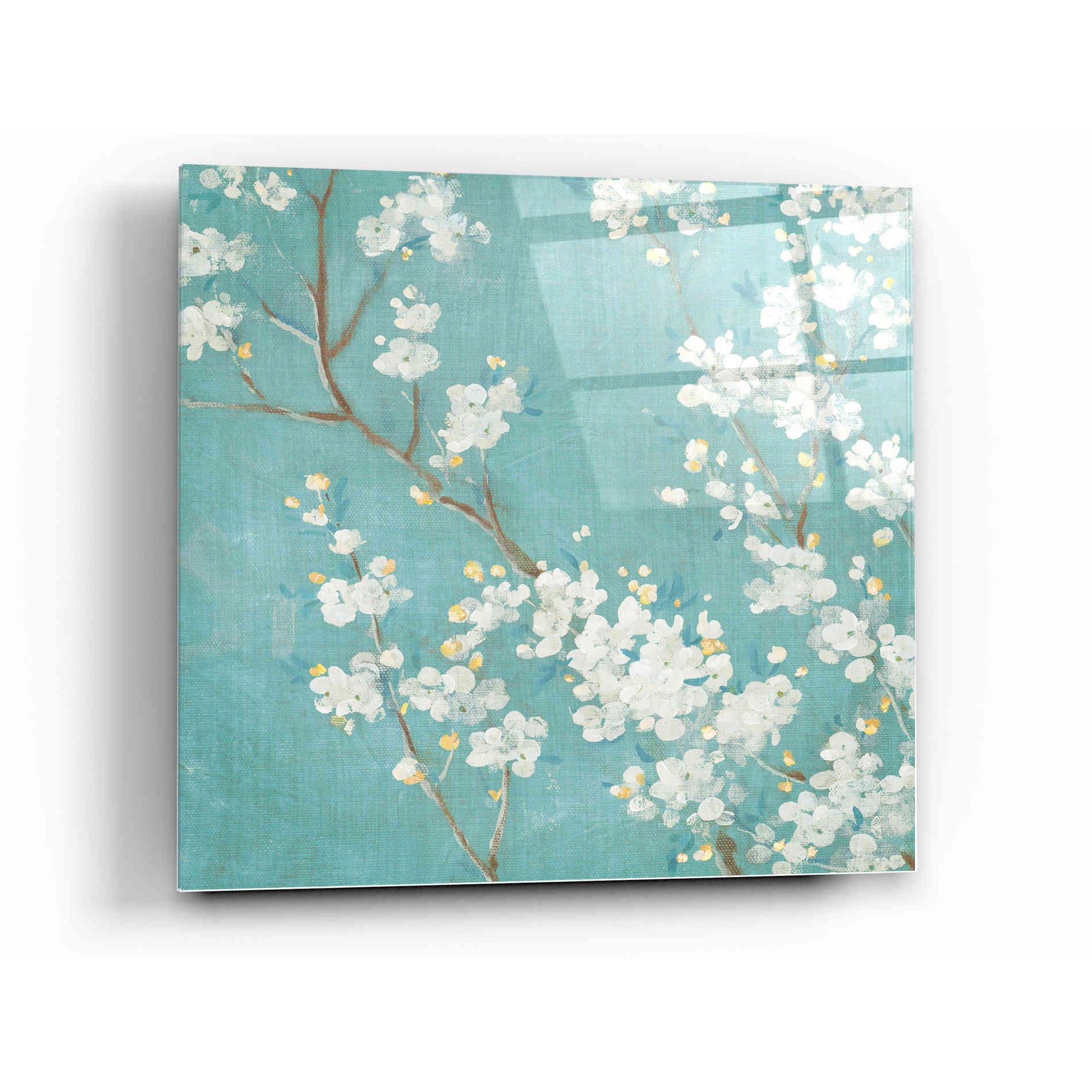 Epic Art 'White Cherry Blossom II on Blue' by Danhui Nai, Acrylic Glass Wall Art,12x12
