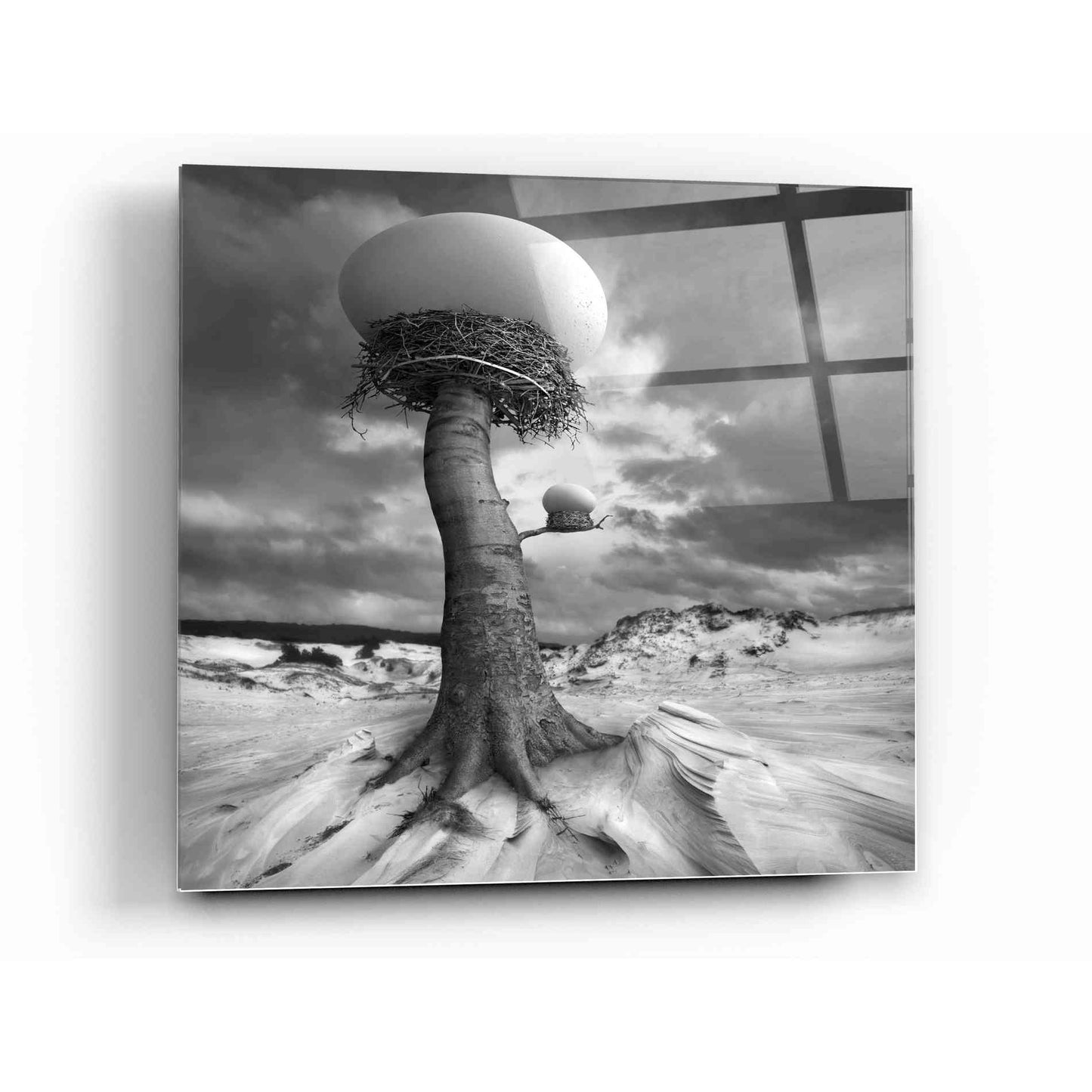 Epic Art '2nests' by Dariusz Klimczak, Acrylic Glass Wall Art,12x12