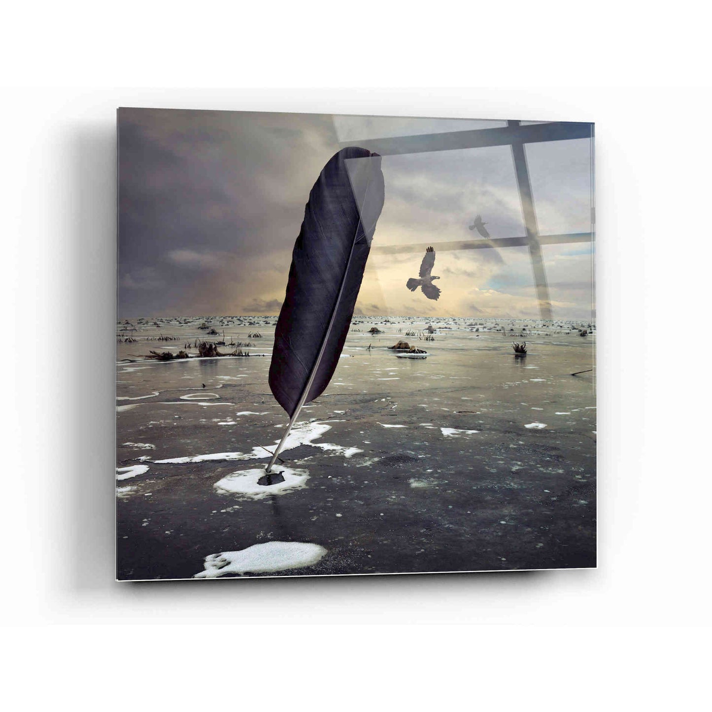 Epic Art 'Featherland' by Dariusz Klimczak, Acrylic Glass Wall Art,12x12