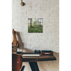 Epic Art 'House of Leaves' by Dariusz Klimczak, Acrylic Glass Wall Art,12x12