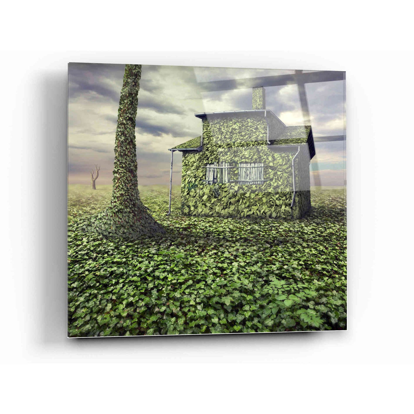 Epic Art 'House of Leaves' by Dariusz Klimczak, Acrylic Glass Wall Art,12x12