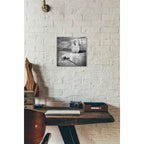 Epic Art 'Keyman' by Dariusz Klimczak, Acrylic Glass Wall Art,12x12