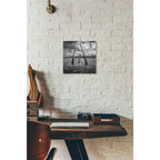 Epic Art 'Artland' by Dariusz Klimczak, Acrylic Glass Wall Art,12x12