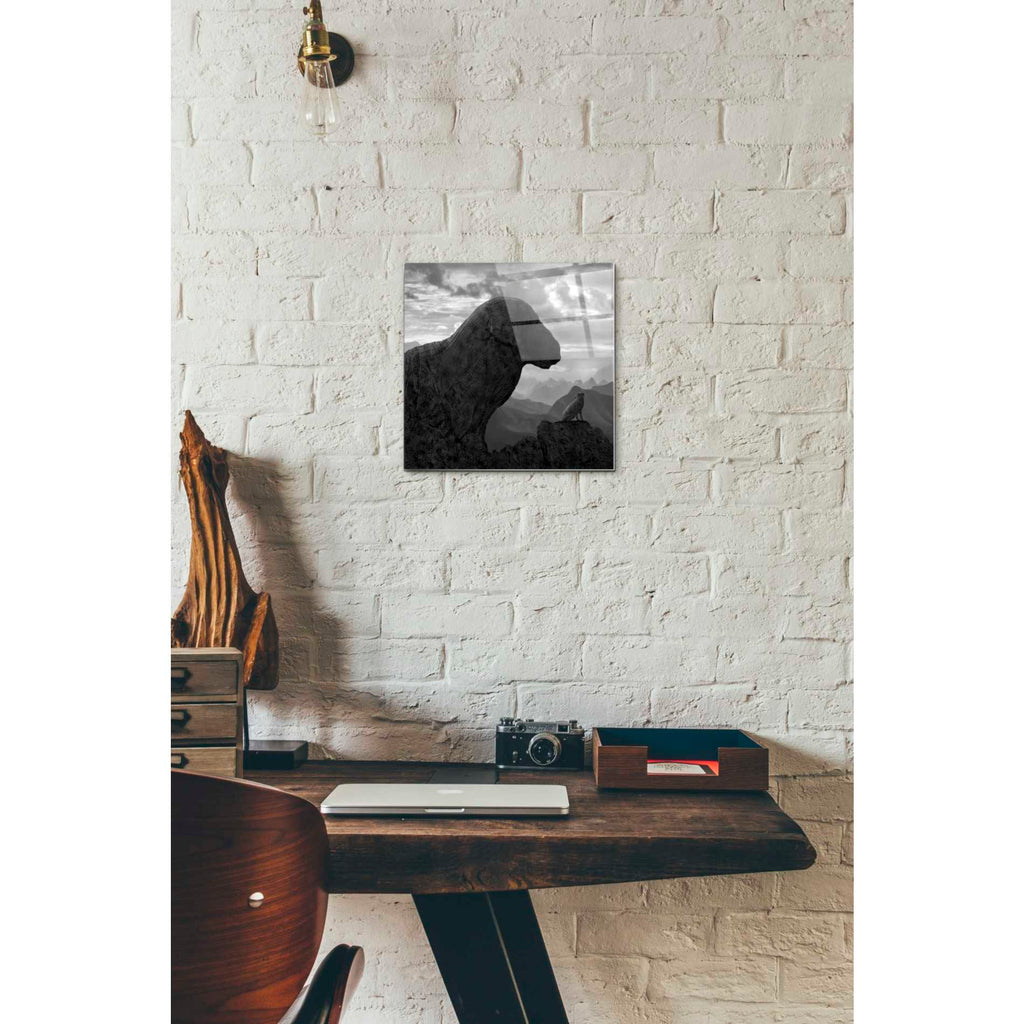Epic Art 'Dog Rock' by Dariusz Klimczak, Acrylic Glass Wall Art,12x12