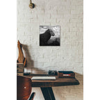 Epic Art 'Dog Rock' by Dariusz Klimczak, Acrylic Glass Wall Art,12x12