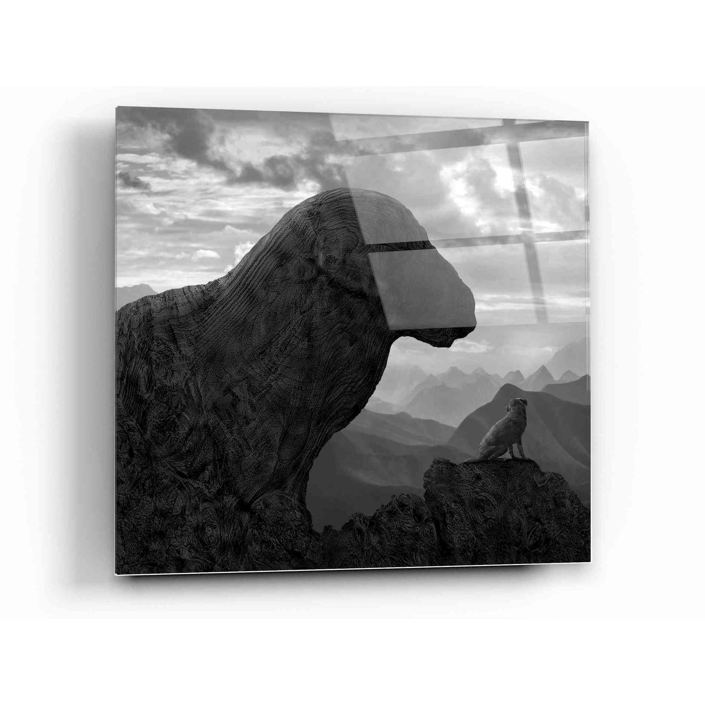 Epic Art 'Dog Rock' by Dariusz Klimczak, Acrylic Glass Wall Art,12x12