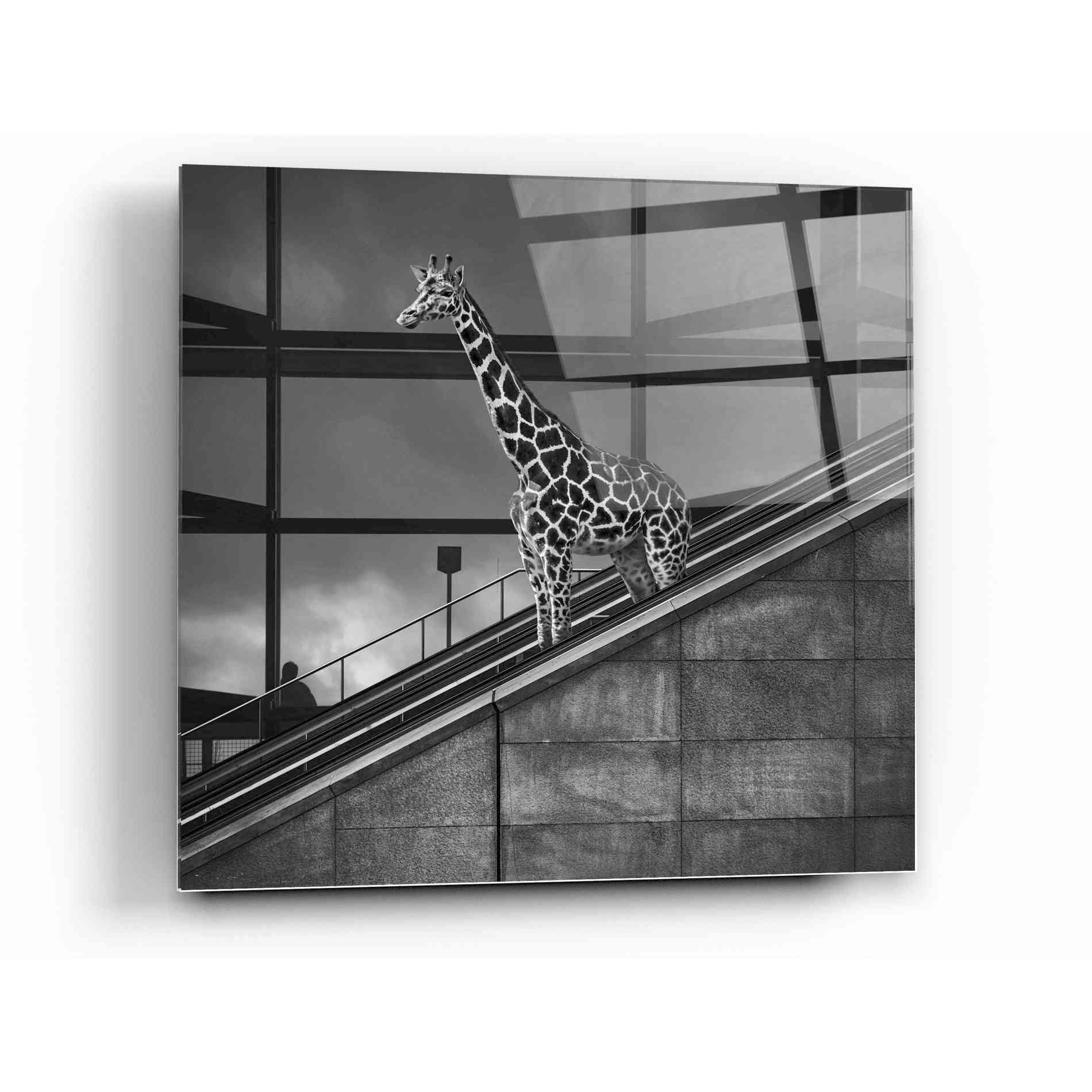 Epic Art 'Downstairs' by Dariusz Klimczak, Acrylic Glass Wall Art,12x12