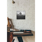 Epic Art 'Leave Alley' by Dariusz Klimczak, Acrylic Glass Wall Art,12x12