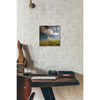 Epic Art 'Marzenia' by Dariusz Klimczak, Acrylic Glass Wall Art,12x12