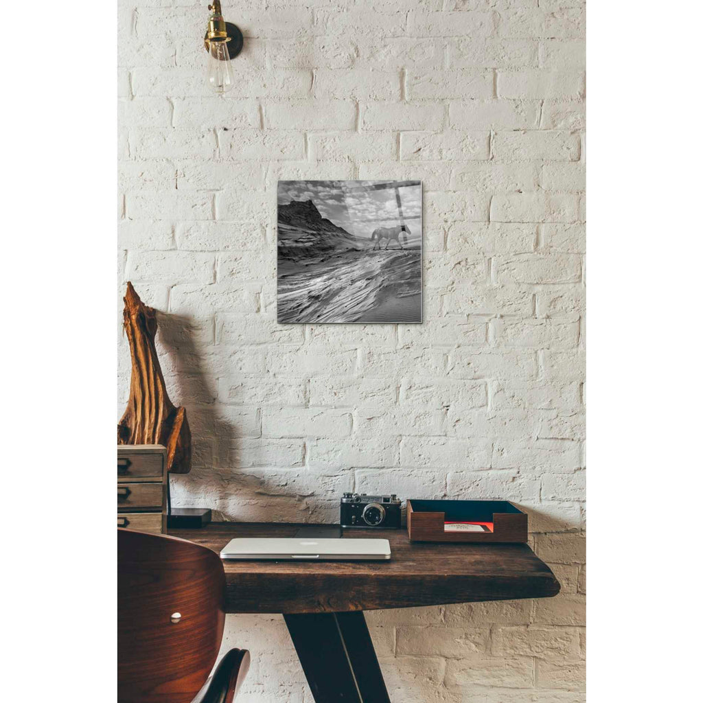 Epic Art 'Mustang Mountain' by Dariusz Klimczak, Acrylic Glass Wall Art,12x12