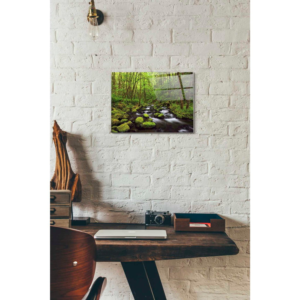 Epic Art "Where the Green Grows" by Darren White, Acrylic Glass Wall Art,12x16