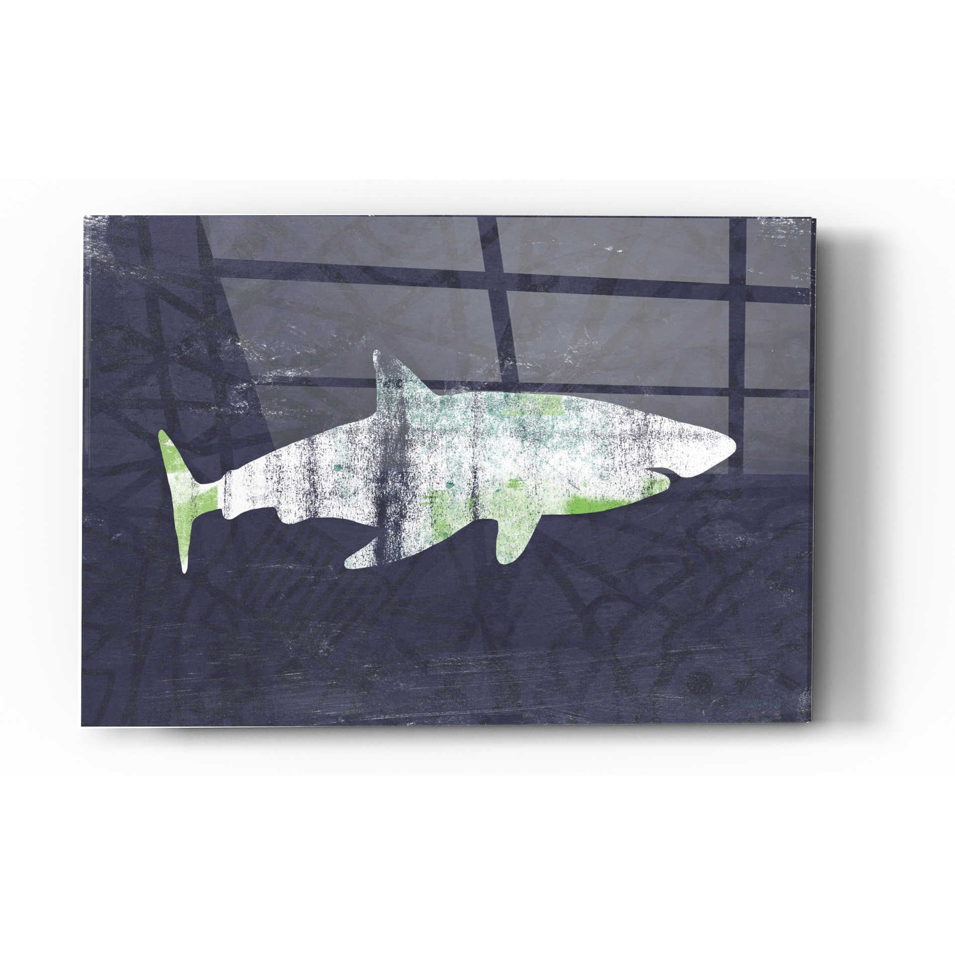 Epic Art 'Shark I' by Linda Woods, Acrylic Glass Wall Art,12x16