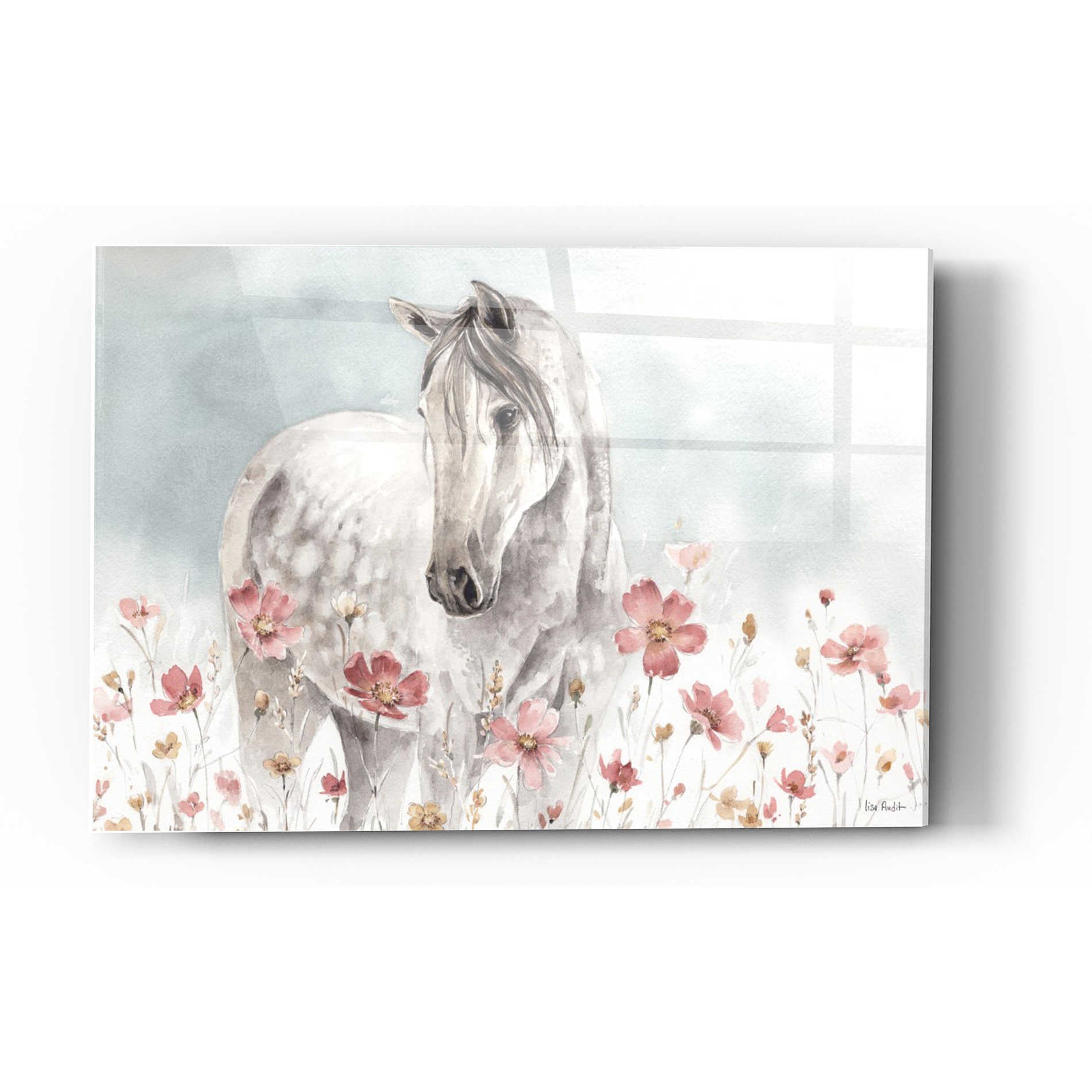 Epic Art 'Wild Horses I' by Lisa Audit, Acrylic Glass Wall Art,12x16