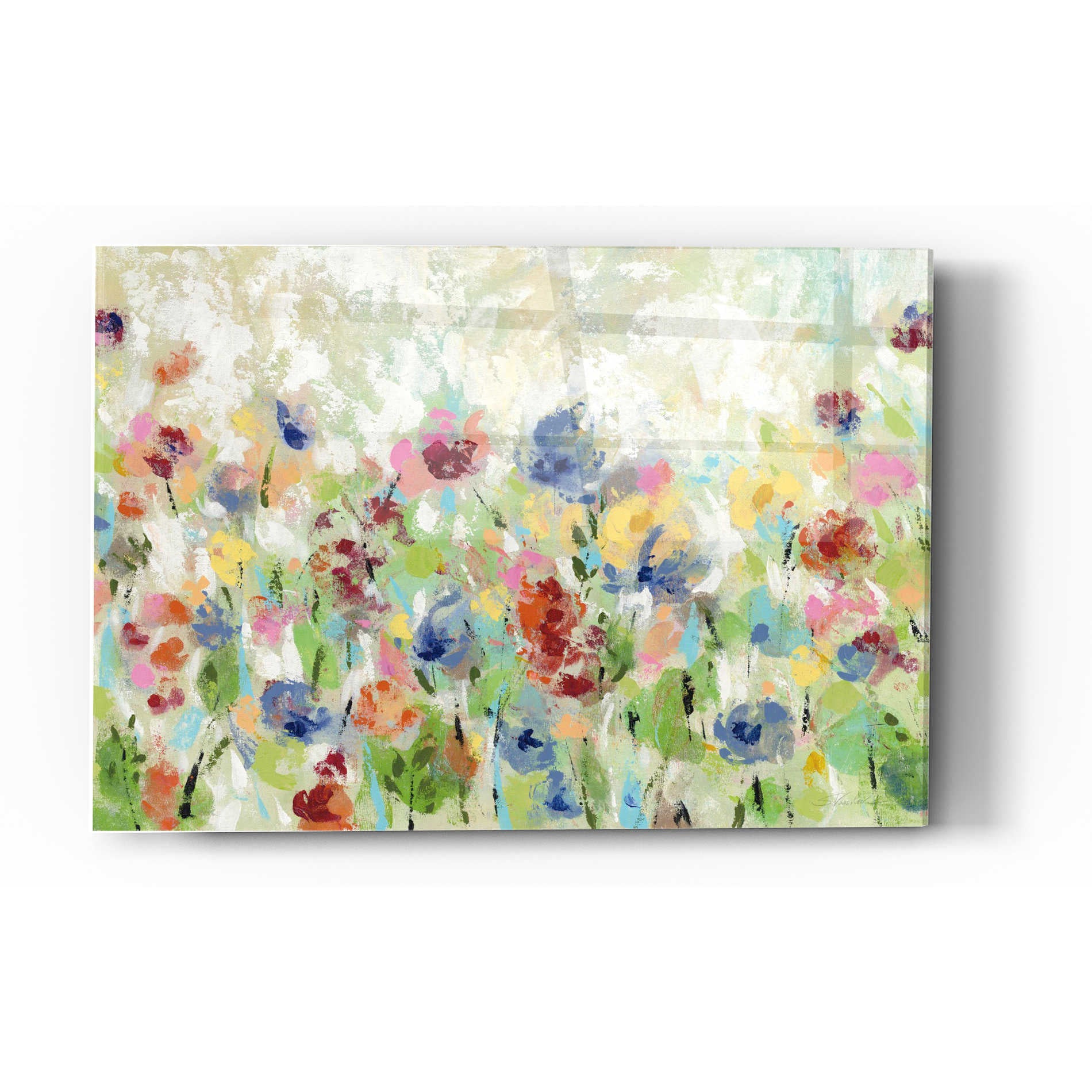 Epic Art 'Springtime Meadow Flowers' by Silvia Vassileva, Acrylic Glass Wall Art,12x16