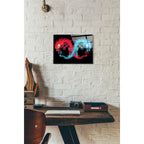 Epic Art 'Double Dragon' by Michael Stewart, Acrylic Glass Wall Art,12x16