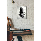 Epic Art 'Raven and Skull' by Nicklas Gustafsson, Acrylic Glass Wall Art,12x16
