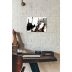 Epic Art 'Unmasked 3' by Jonathan Lam, Acrylic Glass Wall Art,12x16