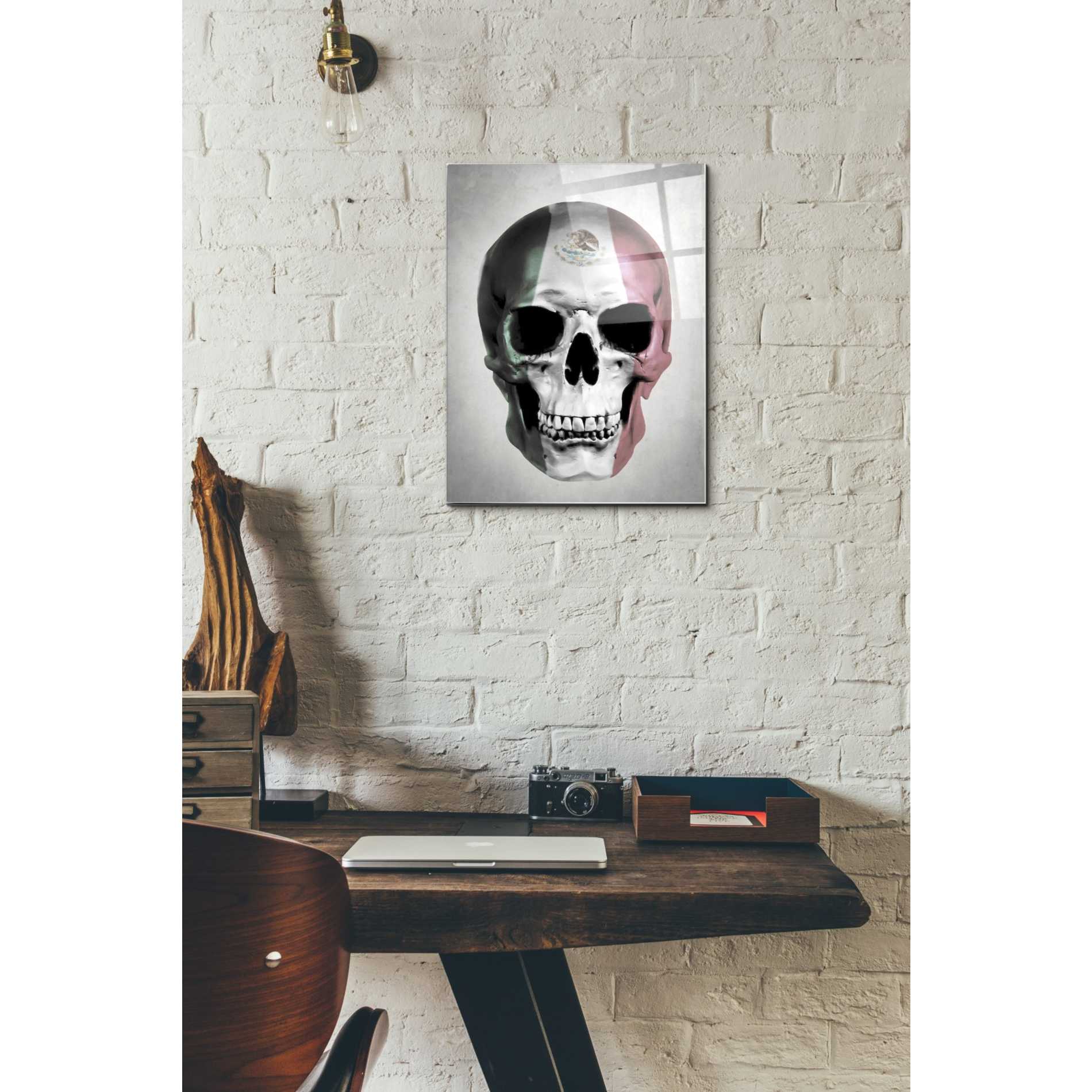 Epic Art 'Mexican Skull Grey' by Nicklas Gustafsson, Acrylic Glass Wall Art,12x16