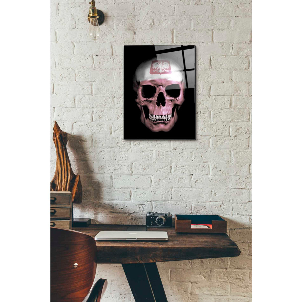 Epic Art 'Polish Skull' by Nicklas Gustafsson, Acrylic Glass Wall Art,12x16