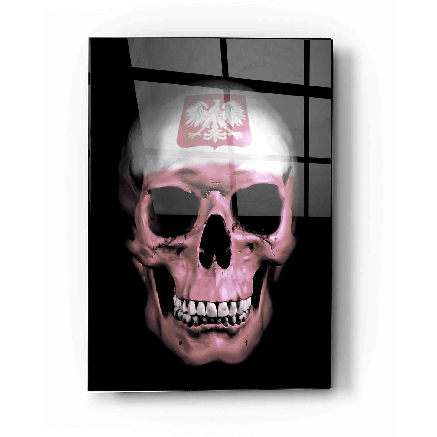Epic Art 'Polish Skull' by Nicklas Gustafsson, Acrylic Glass Wall Art,12x16
