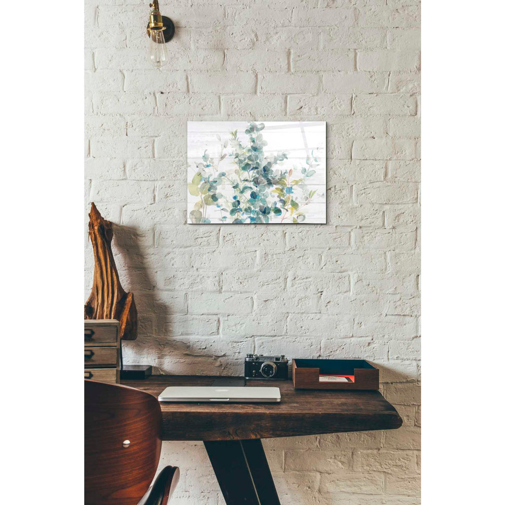 Epic Art 'Eucalyptus I Crop' Acrylic Glass Wall Art,12 x 16