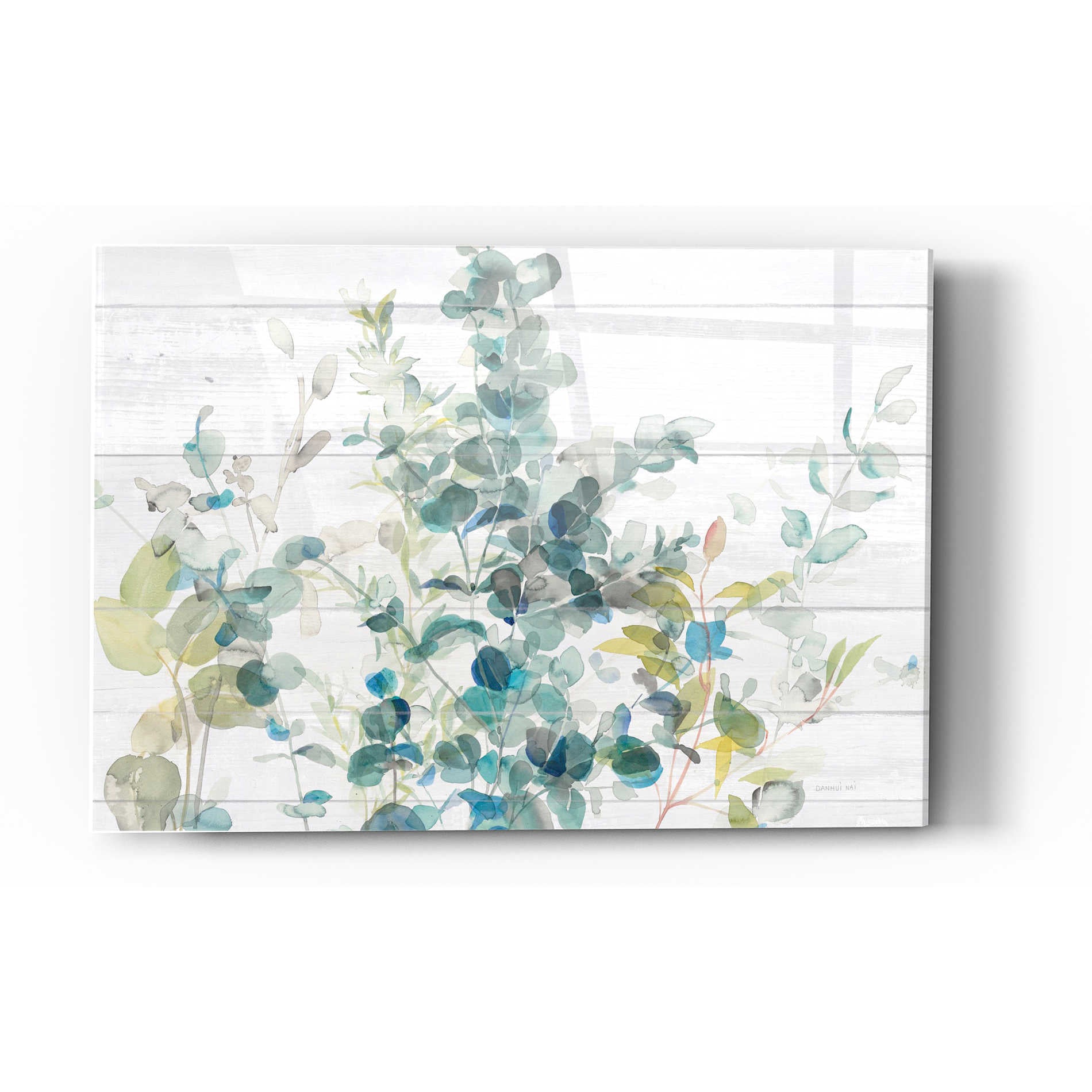 Epic Art 'Eucalyptus I Crop' Acrylic Glass Wall Art,12 x 16