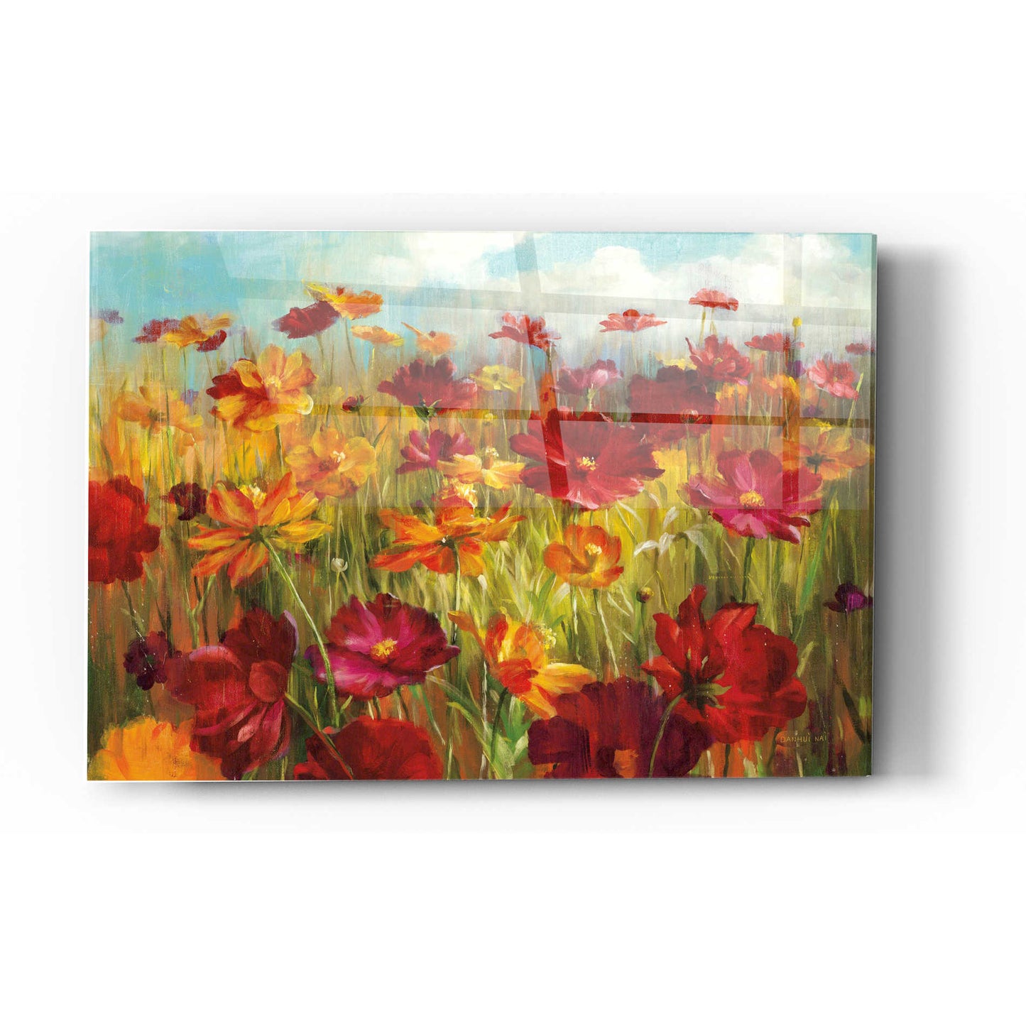 Epic Art 'Cosmos in the Field' by Danhui Nai, Acrylic Glass Wall Art,12 x 16