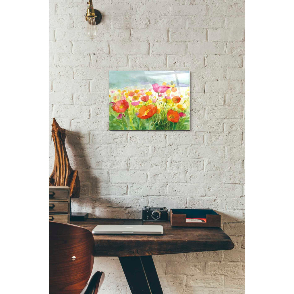 Epic Art 'Meadow Poppies' by Danhui Nai, Acrylic Glass Wall Art,12 x 16