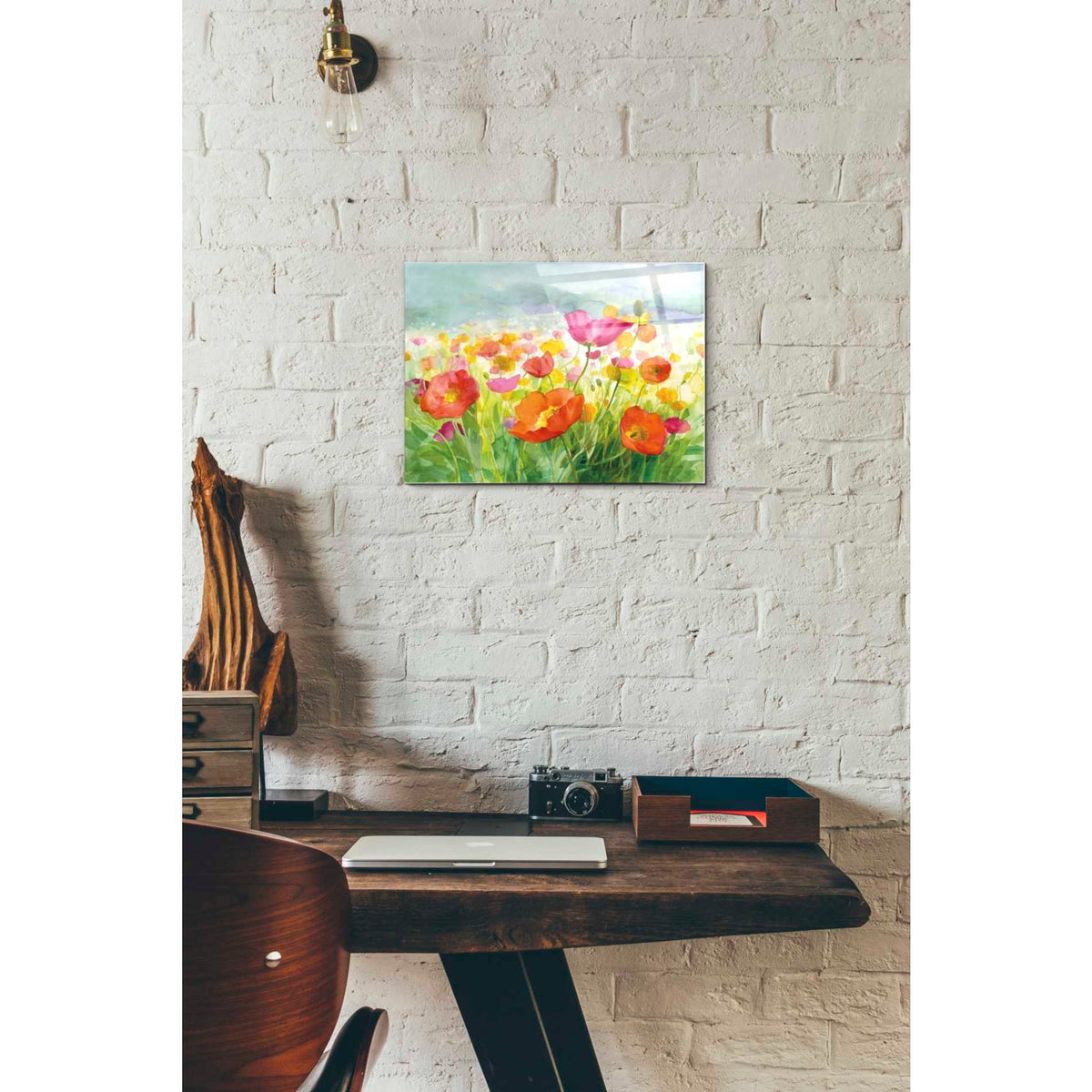 Epic Art 'Meadow Poppies' by Danhui Nai, Acrylic Glass Wall Art,12 x 16