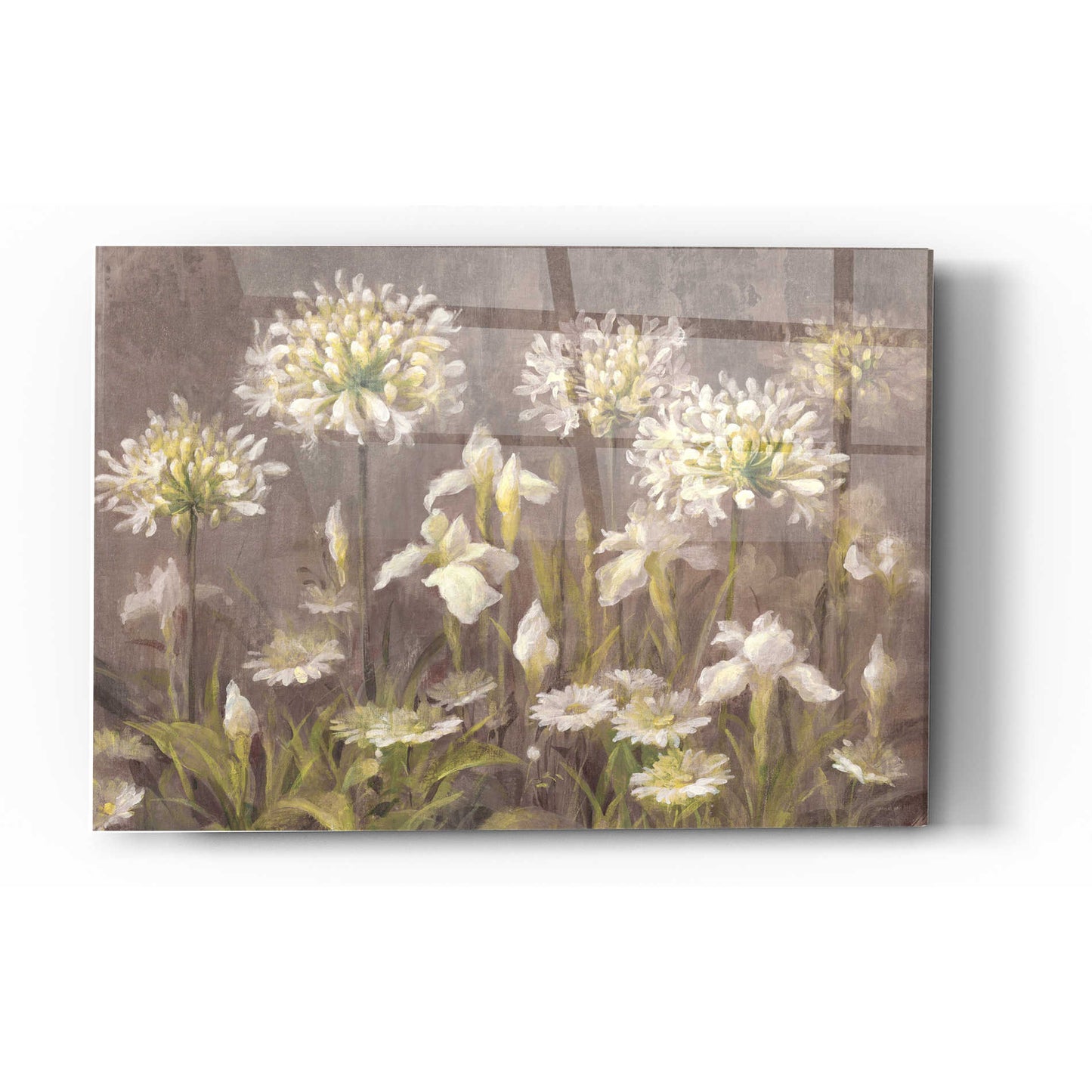 Epic Art 'Spring Blossoms Neutral' by Danhui Nai, Acrylic Glass Wall Art,12 x 16