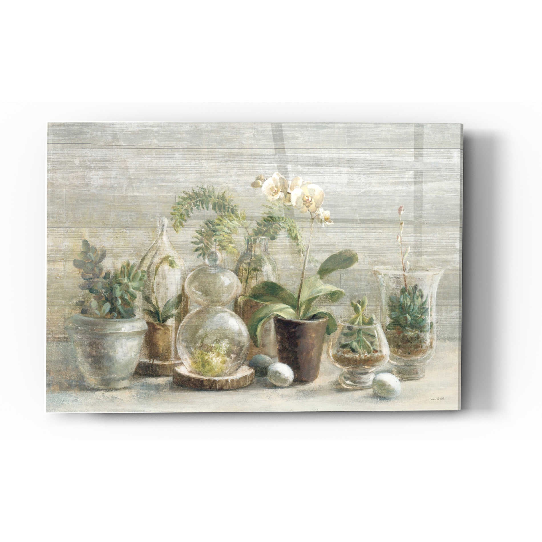 Epic Art 'Greenhouse Orchids on Wood' by Danhui Nai, Acrylic Glass Wall Art,12 x 16