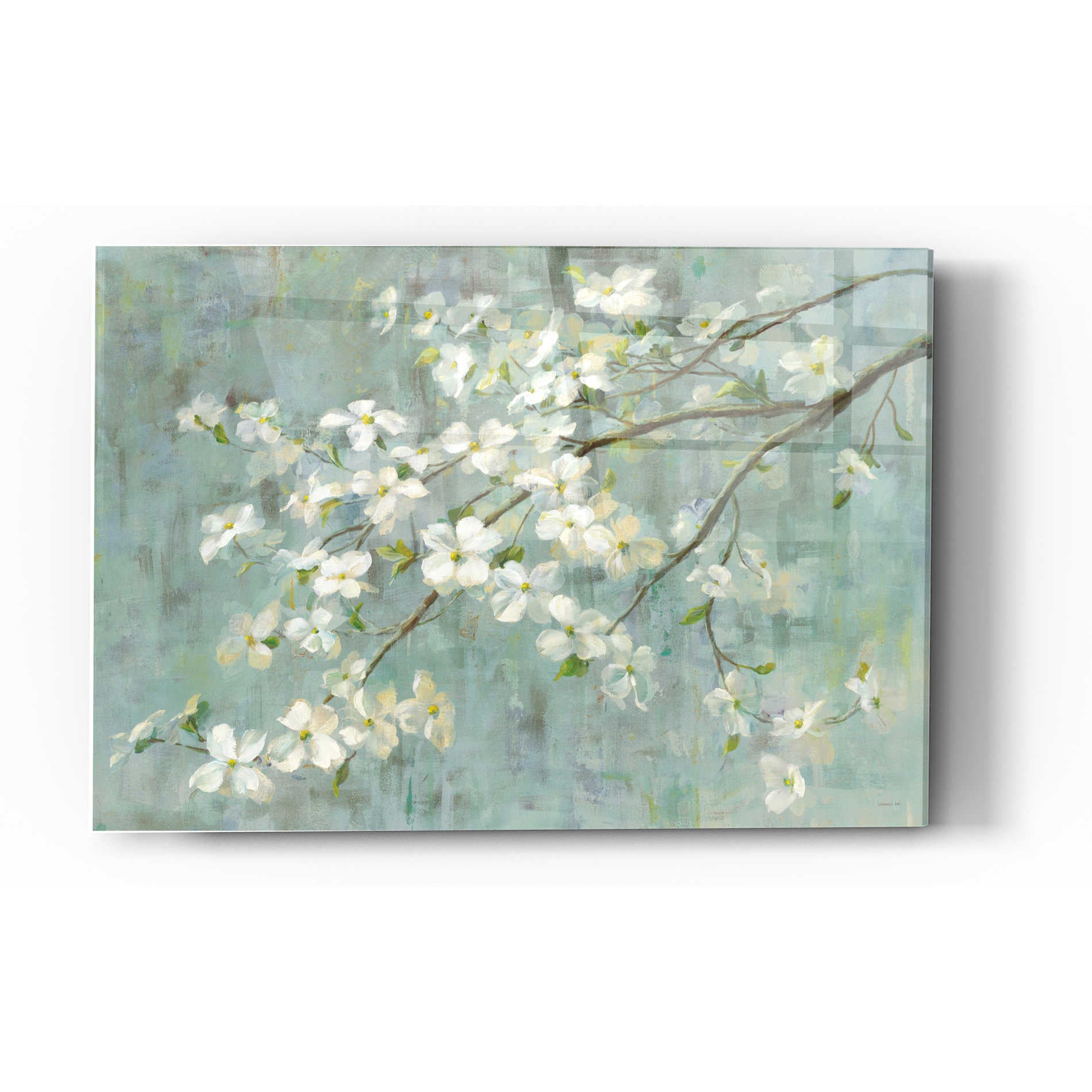 Epic Art 'Dogwood in Spring on Blue' by Danhui Nai, Acrylic Glass Wall Art,12 x 16