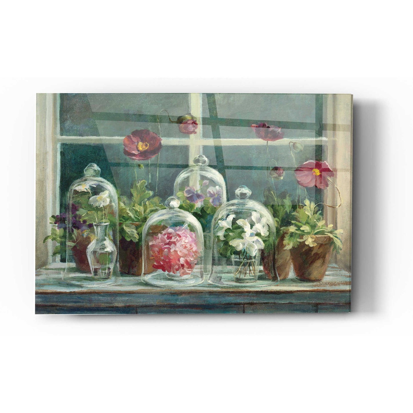Epic Art 'Purple Poppies Windowsill Crop' by Danhui Nai, Acrylic Glass Wall Art,12 x 16